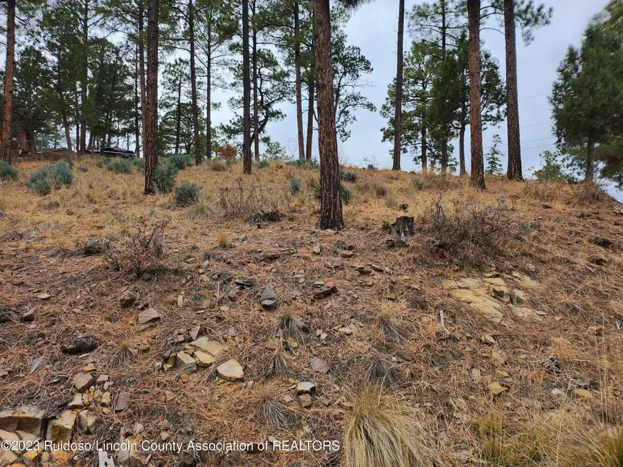 138 King Richard Drive, Ruidoso, NM 88345 - #2