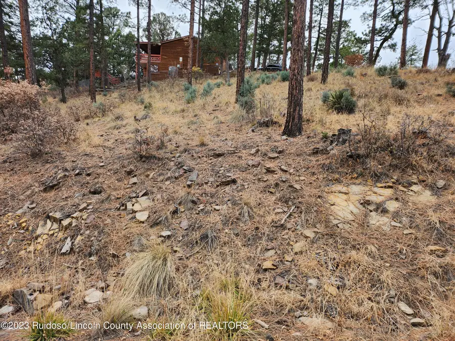 138 King Richard Drive, Ruidoso, NM 88345 - #3