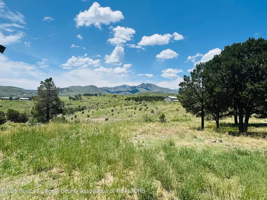 109 Judea Court, Capitan, NM 88316 - #2