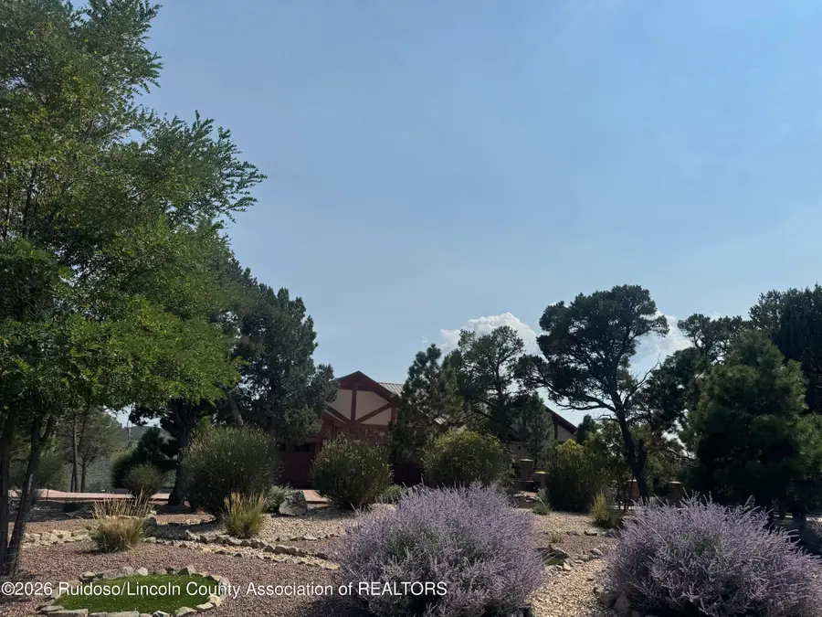 238 Eagle Ridge Road, Alto, NM 88312 - #3