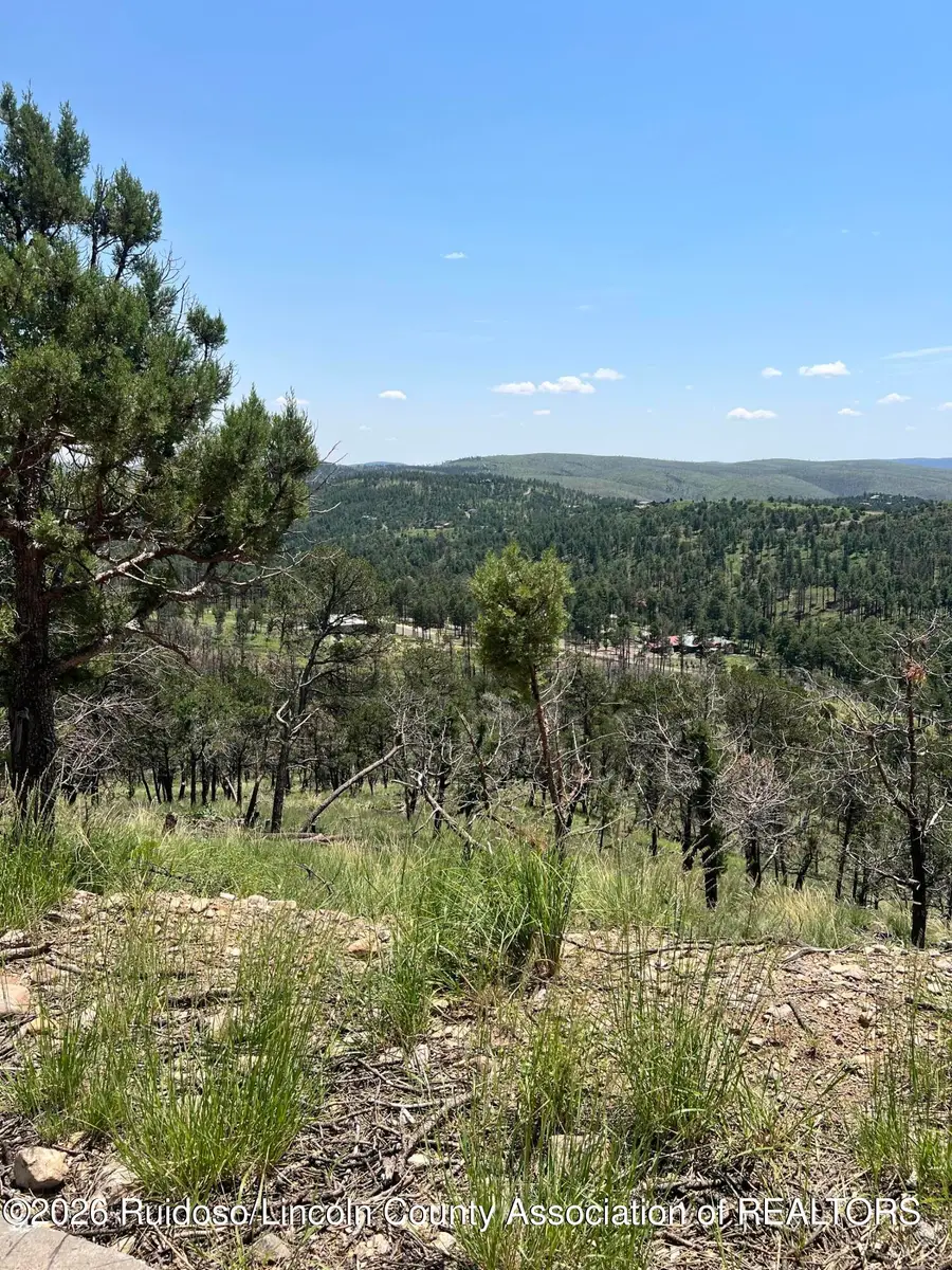 10D Flute Player Way, Alto, NM 88312 - #2