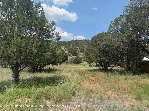118 Cowboy Court, Alto, NM 88312
