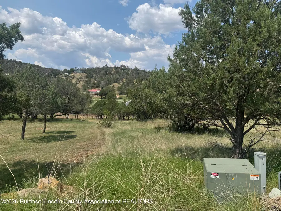 118 Cowboy Court, Alto, NM 88312 - #2