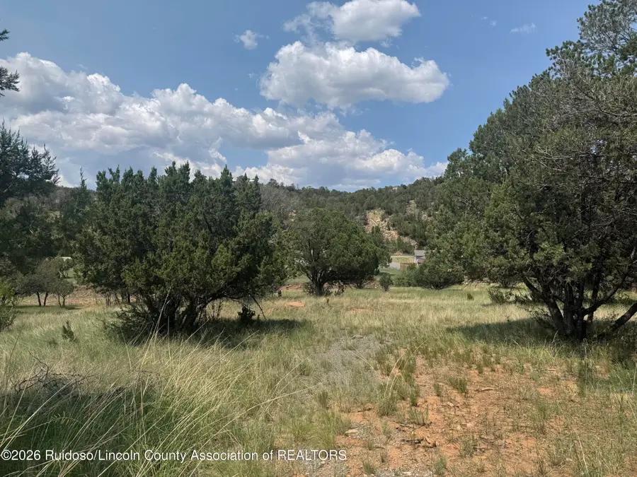 118 Cowboy Court, Alto, NM 88312 - #3