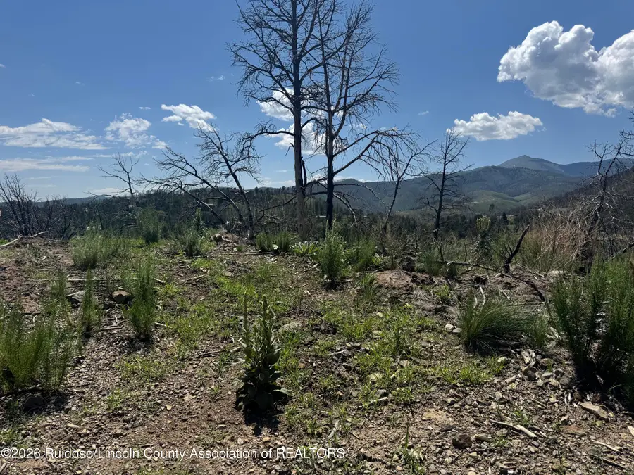 25 Lot Bobsled Place, Ruidoso, NM 88345 - #3