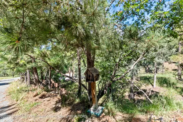 107 Santa Rosa Drive, Ruidoso, NM 88345