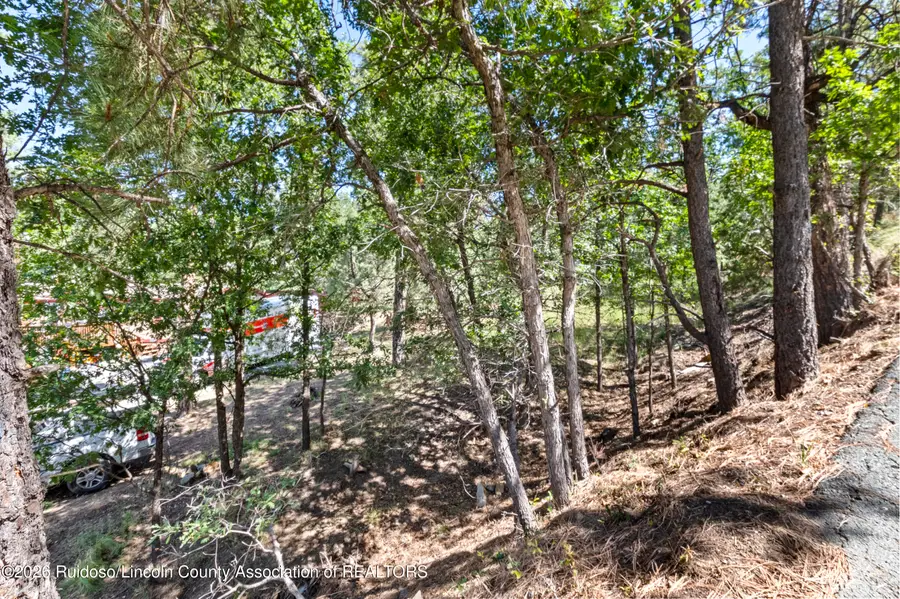 107 Santa Rosa Drive, Ruidoso, NM 88345 - #2