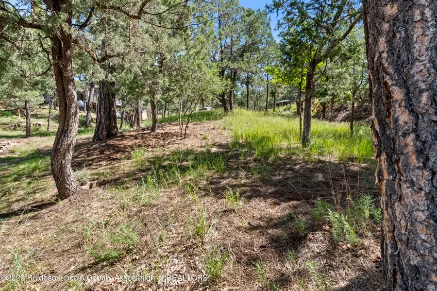 107 Santa Rosa Drive, Ruidoso, NM 88345 - #3