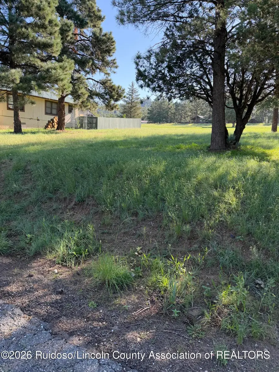 106 Bogie Lane, Ruidoso, NM 88345 - #2