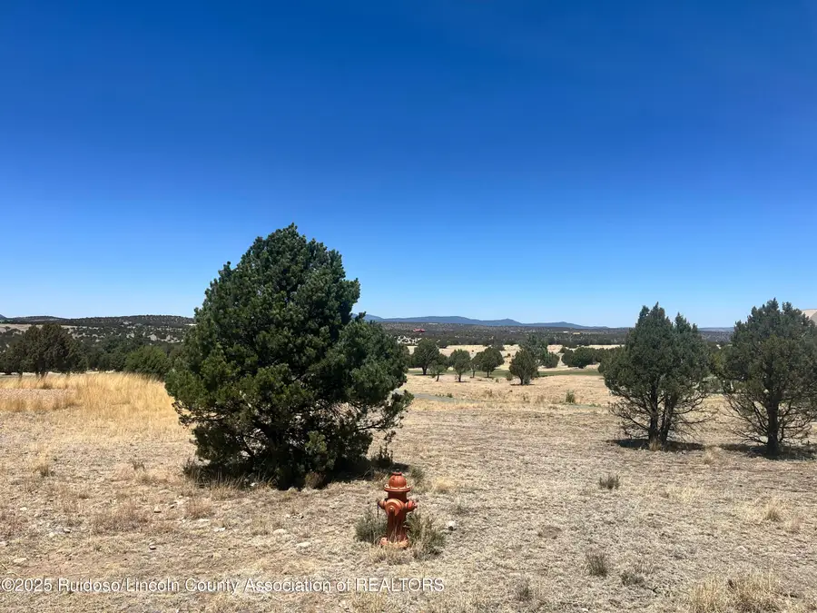 L7B10 Spencer Road, Alto, NM 88312 - #3