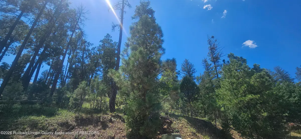 117 Oak Grove Place, Ruidoso, NM 88345 - #1