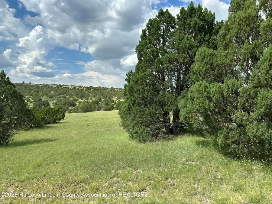 Lot 10 Spencer Road, Alto, NM 88312 - #3