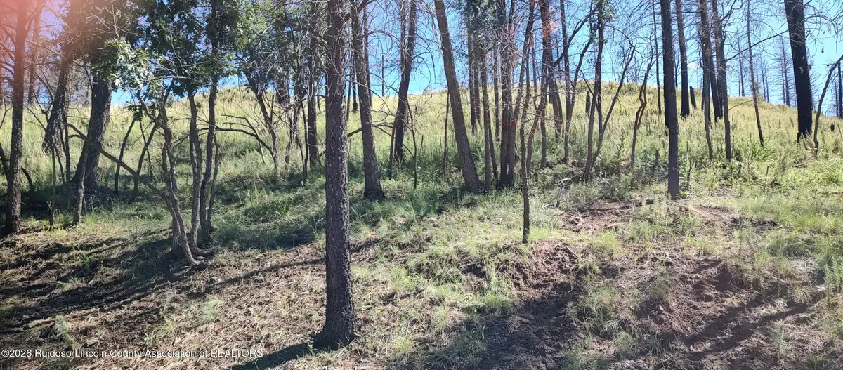 129 Sequoia Drive, Ruidoso, NM 88345 - #1