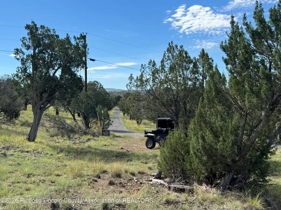 380 Sandesta 27a Drive, Alto, NM 88312 - #2