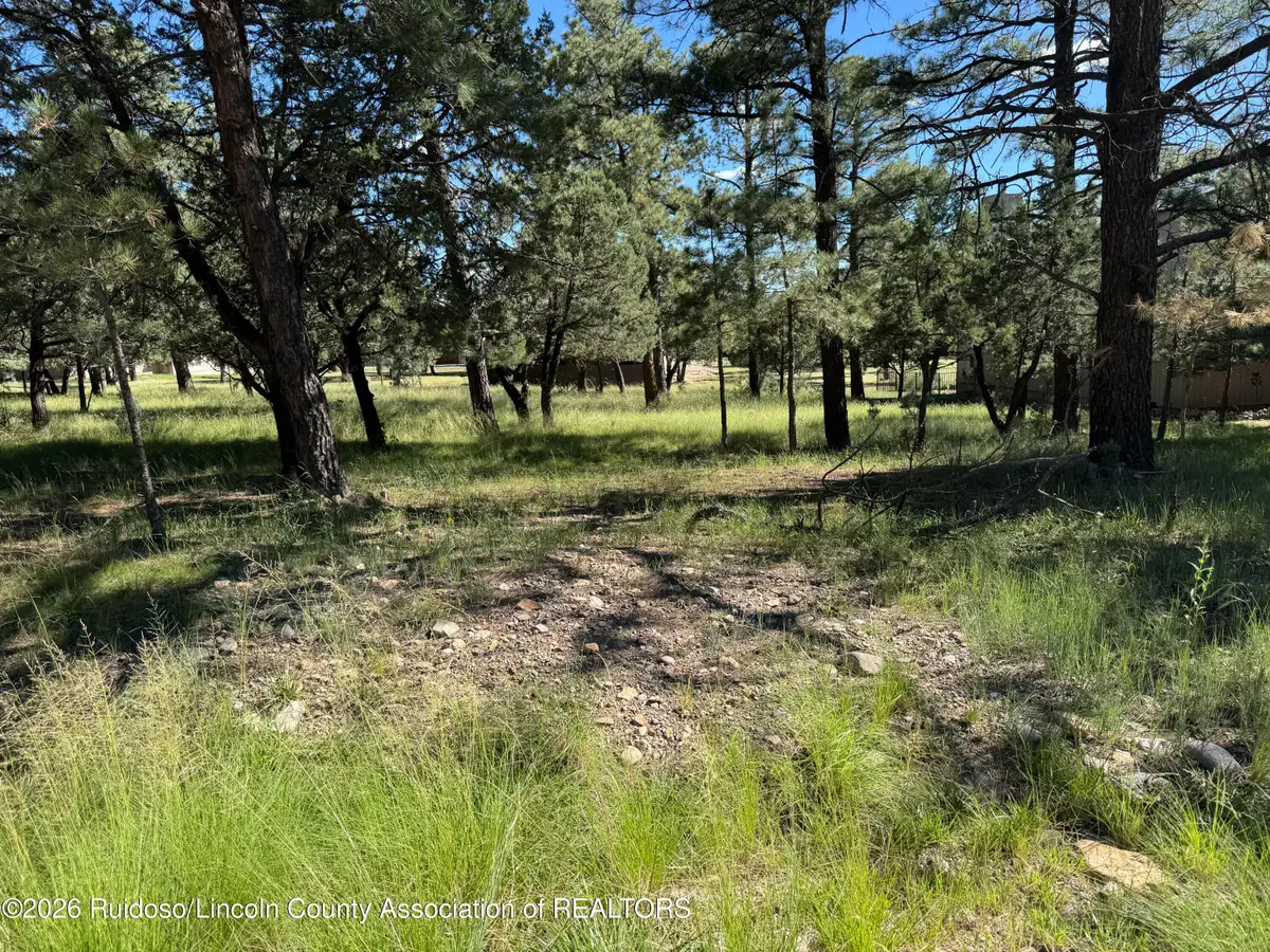 380 Sandesta Lot 6 Drive, Alto, NM 88312 - #1