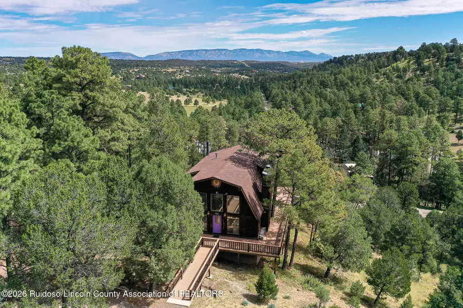 132 Torrey Pines Trail, Alto, NM 88312 - #2