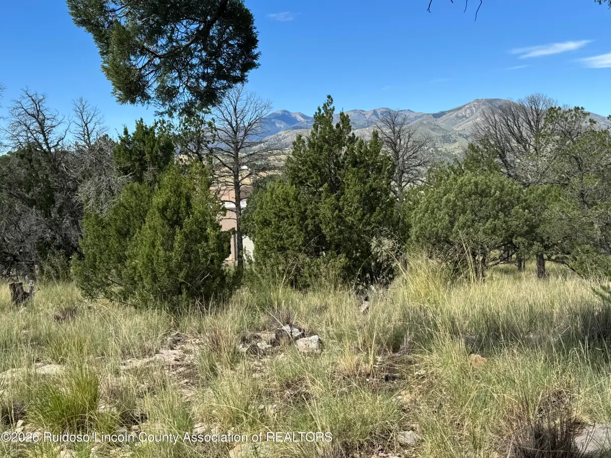 159 Altamira Drive, Alto, NM 88312 - #1
