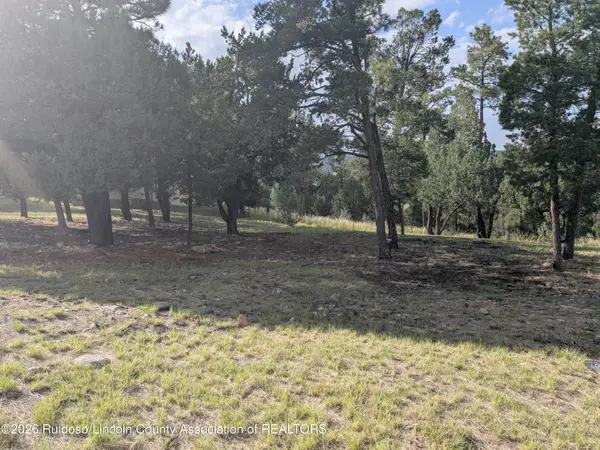 261 Deer Park Drive, Alto, NM 88312