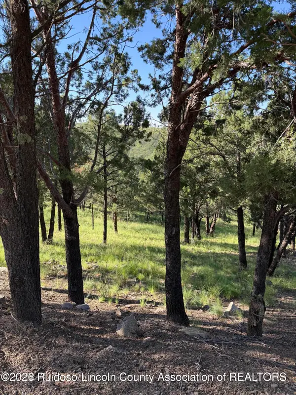 198 Crown Ridge Road, Alto, NM 88312