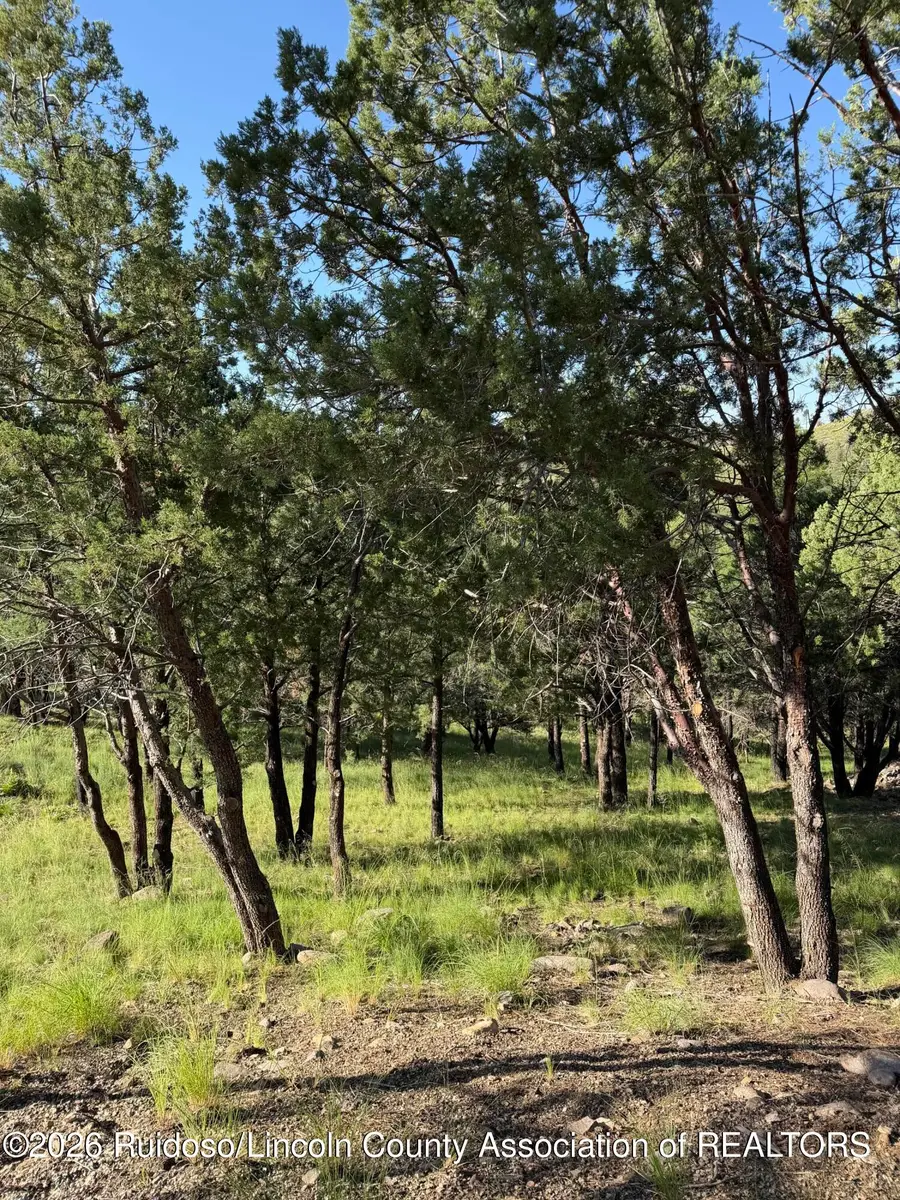 198 Crown Ridge Road, Alto, NM 88312 - #2