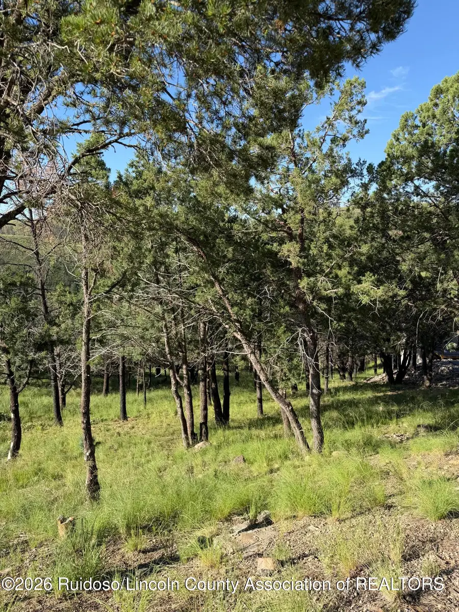 198 Crown Ridge Road, Alto, NM 88312 - #3