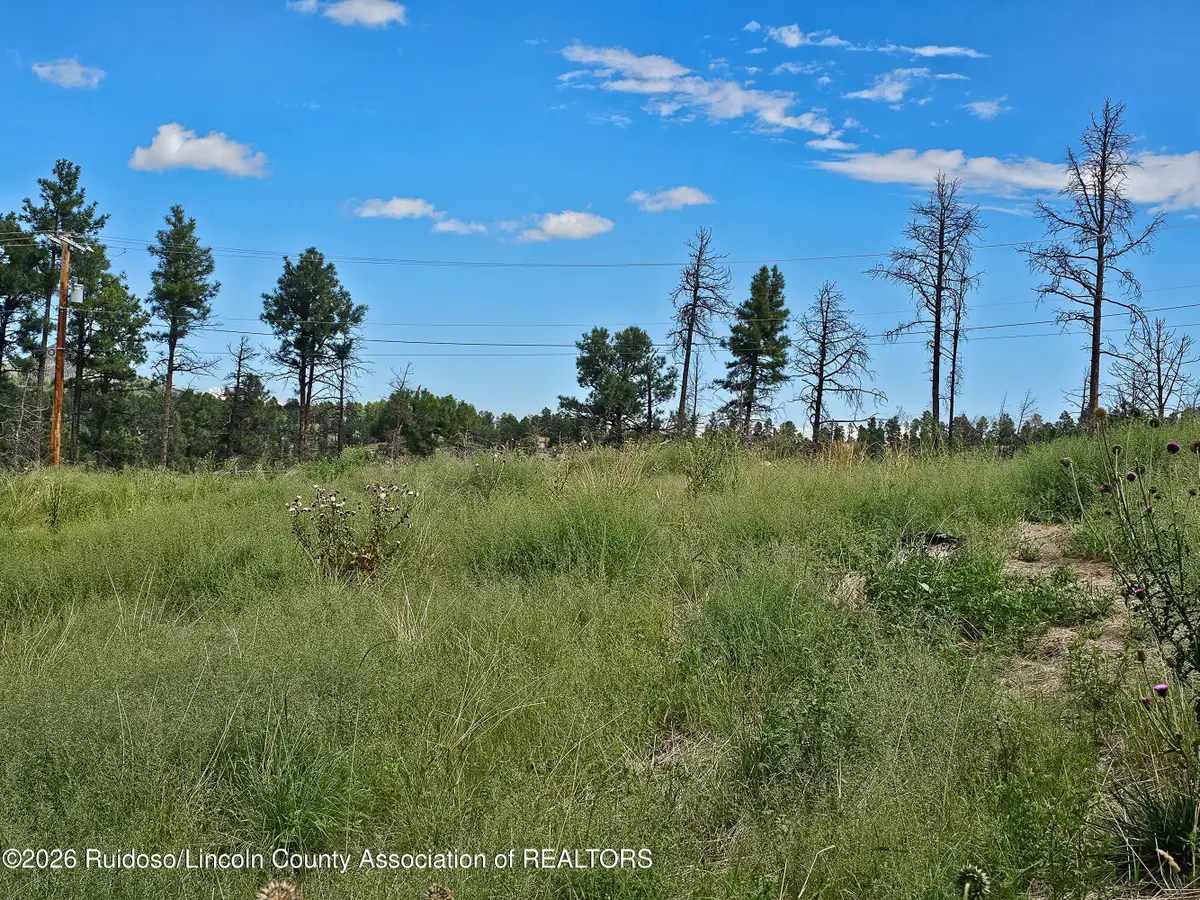 204 Via Aguila, Ruidoso, NM 88345 - #1