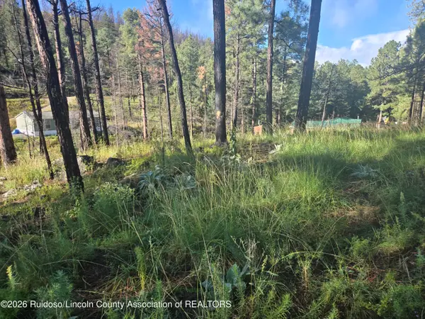 103 Wild Onion Run, Alto, NM 88312