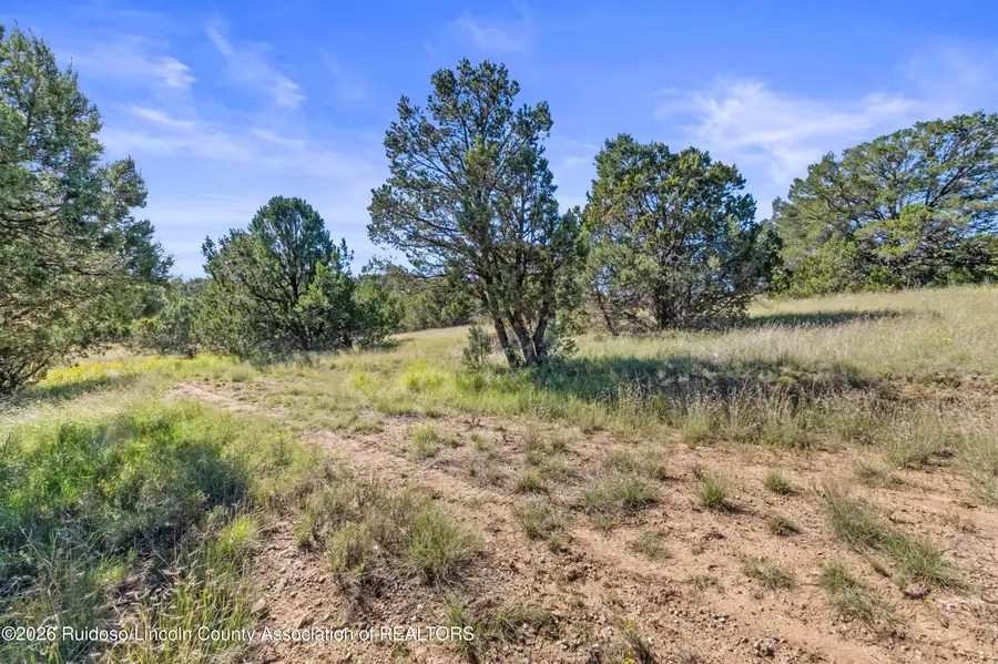 2B & 3A Hwy 220, Alto, NM 88312 - #3