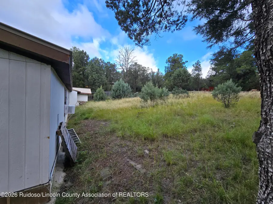 115 Pine Knot Trail, Alto, NM 88312 - #3