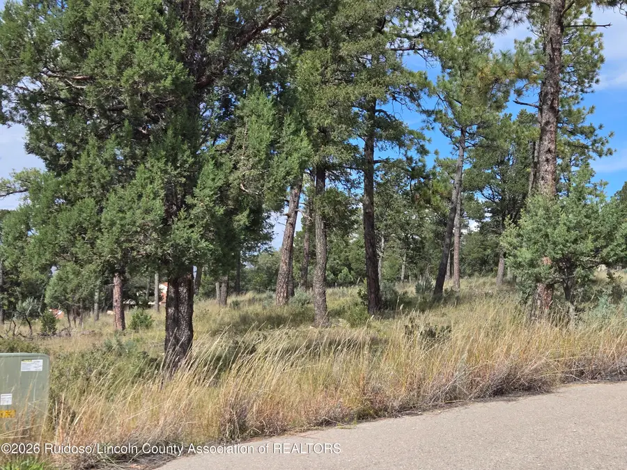 100 Avalon Court, Ruidoso, NM 88345 - #2
