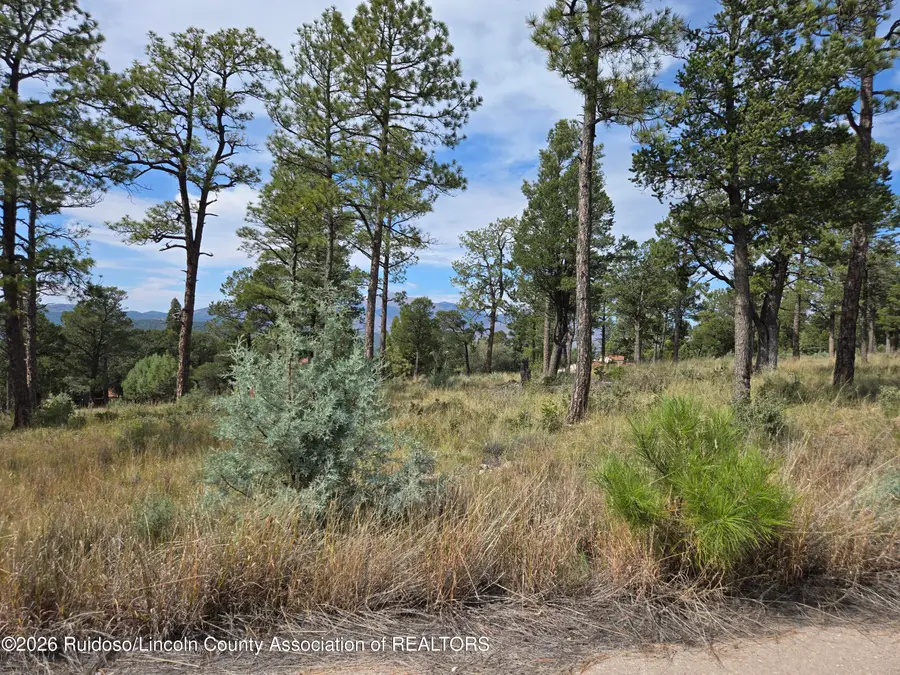 100 Avalon Court, Ruidoso, NM 88345 - #3