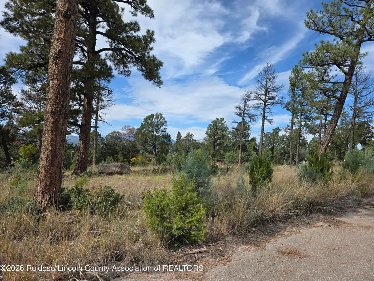 100 Avalon Court, Ruidoso, NM 88345 - #1