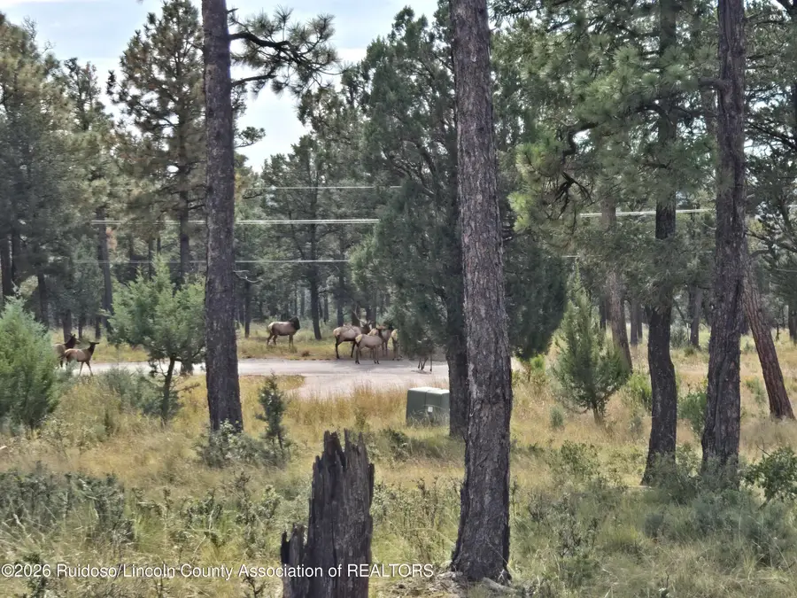 100 Avalon Court, Ruidoso, NM 88345 - #2
