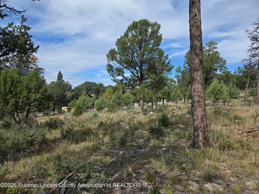 100 Avalon Court, Ruidoso, NM 88345 - #3