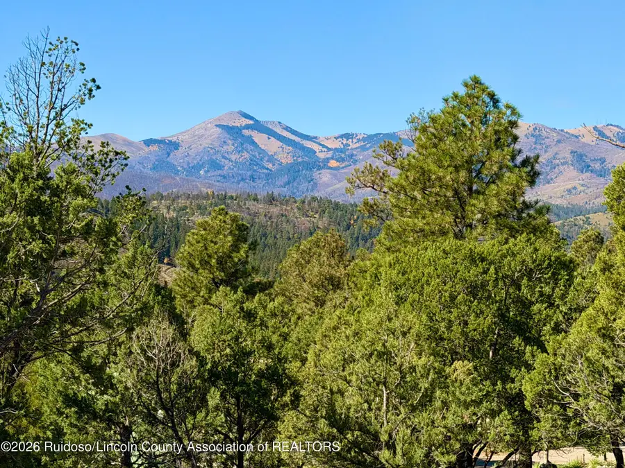 159 Crown Ridge Road, Alto, NM 88312 - #2
