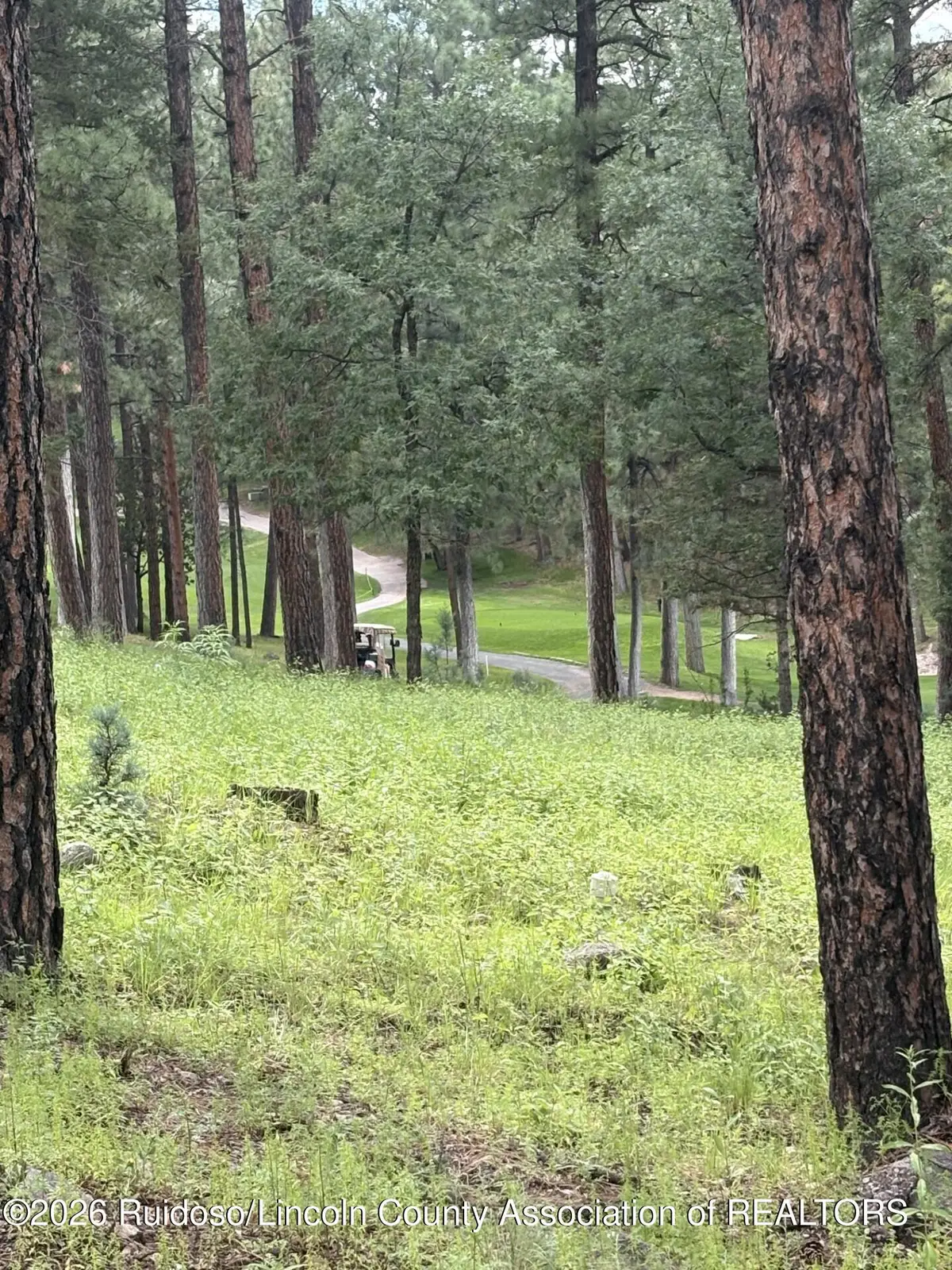 Lot 2 Incredible Lane, Alto, NM 88312 - #1