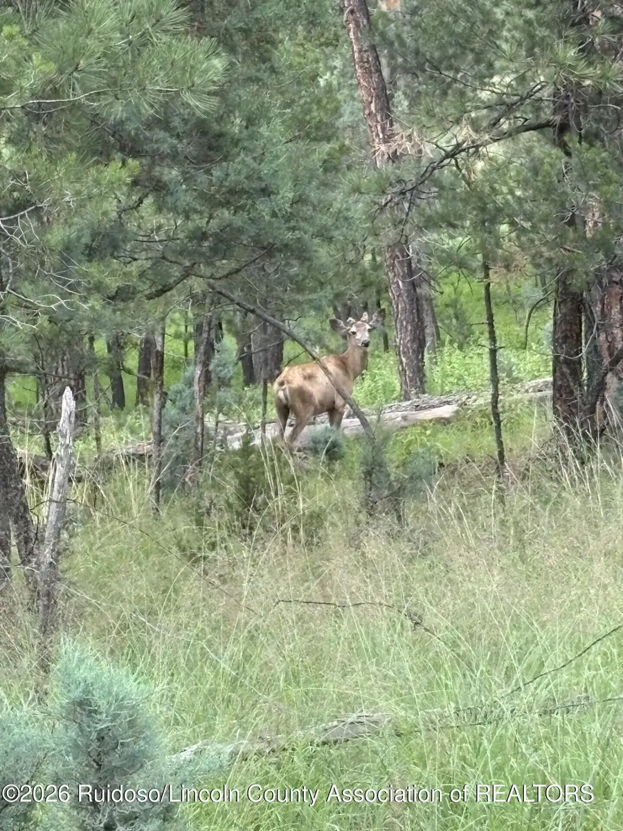 Lot 2 Incredible Lane, Alto, NM 88312 - #3
