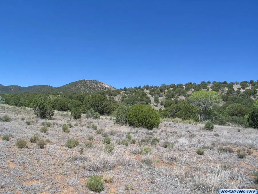 XX Swan Street, Silver City, NM 88061 - #2
