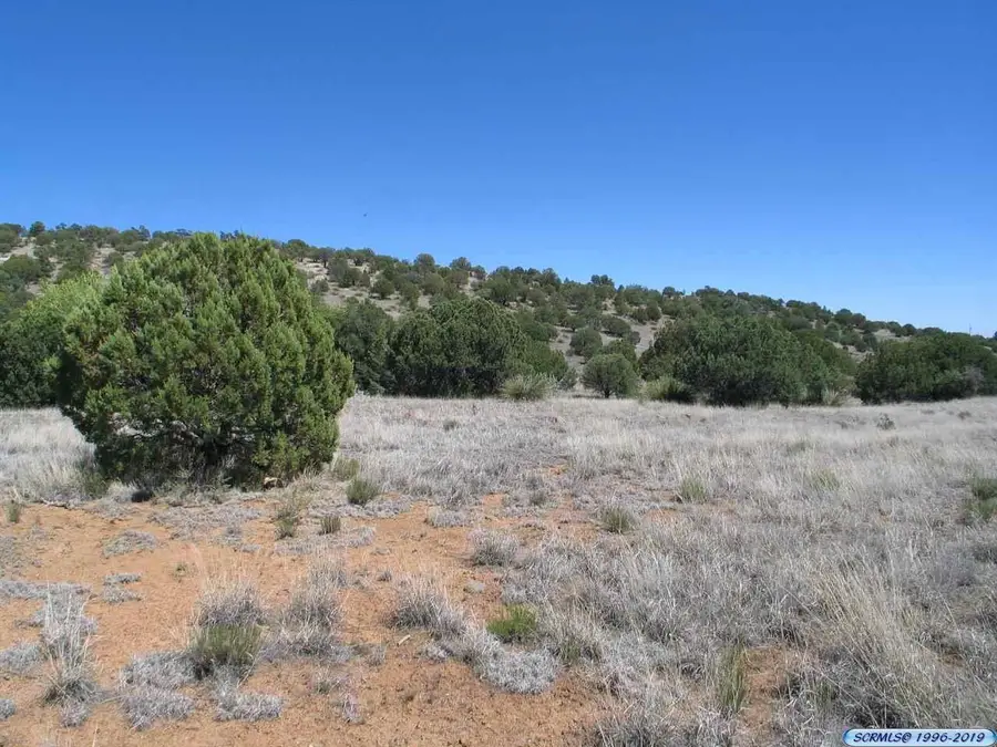 XX Swan Street, Silver City, NM 88061 - #3