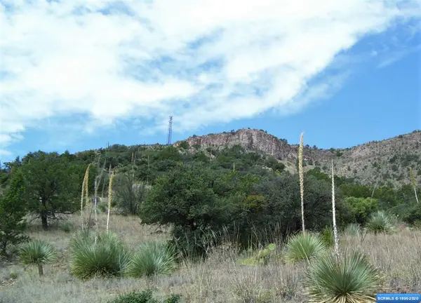 Lot 38 Caballo Blanco Road #Lot 38, Mimbres, NM 88049