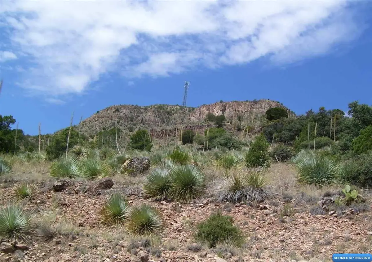 225 Caballo Blanco Road #Lot 37, Mimbres, NM 88049 - #1