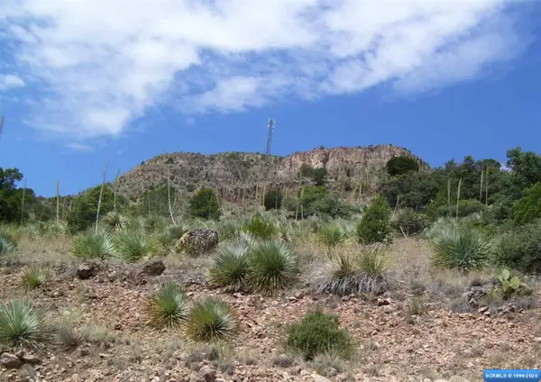 225 Caballo Blanco Road #Lot 37, Mimbres, NM 88049