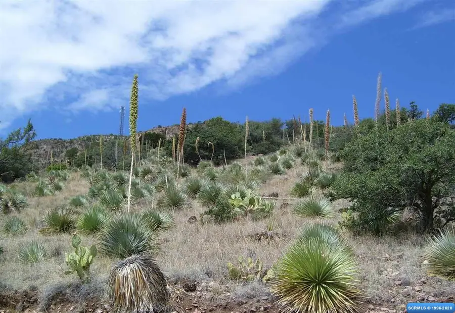 225 Caballo Blanco Road #Lot 37, Mimbres, NM 88049 - #2