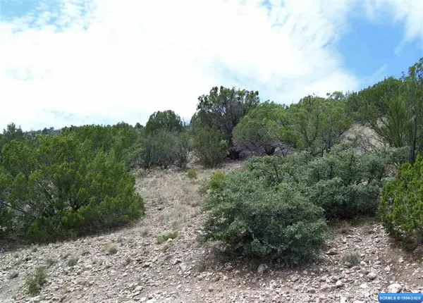282 Caballo Blanco Road #Lot 34, Mimbres, NM 88049