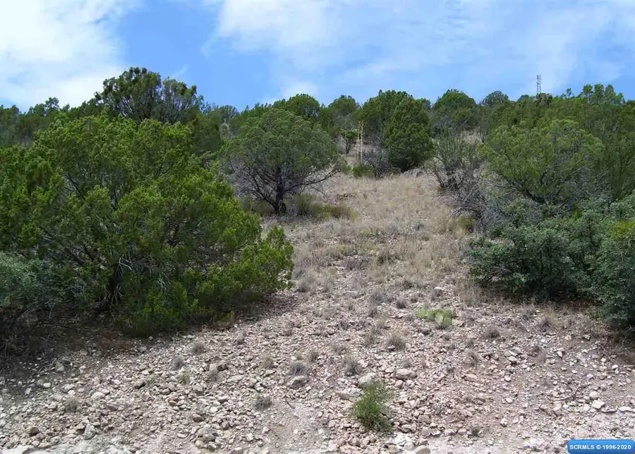282 Caballo Blanco Road #Lot 34, Mimbres, NM 88049 - #2