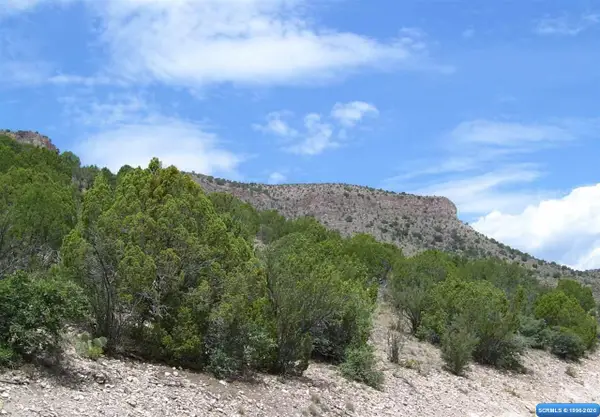 286 Caballo Blanco Road #Lot 33, Mimbres, NM 88049