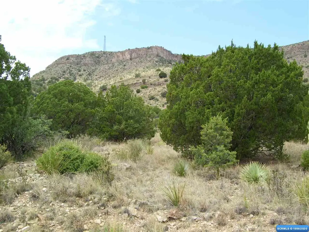 262 Rio Vista Road #Lot 75, Mimbres, NM 88049 - #1