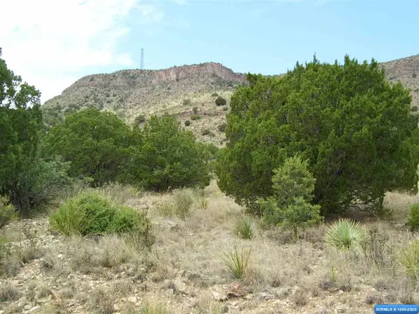 262 Rio Vista Road #Lot 75, Mimbres, NM 88049
