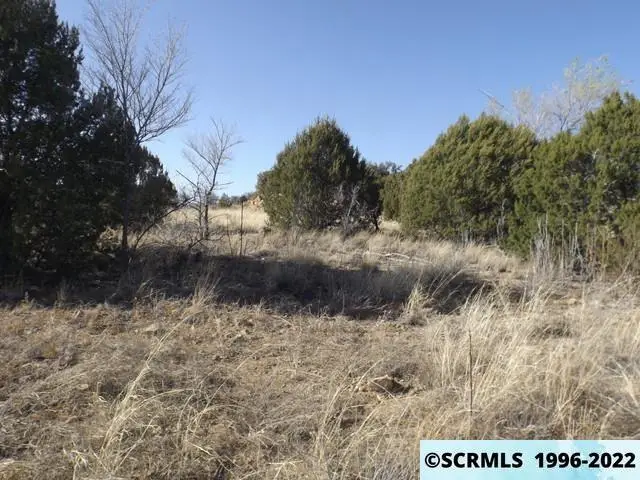XX E Highway 180, Santa Clara, NM 88026 - #2