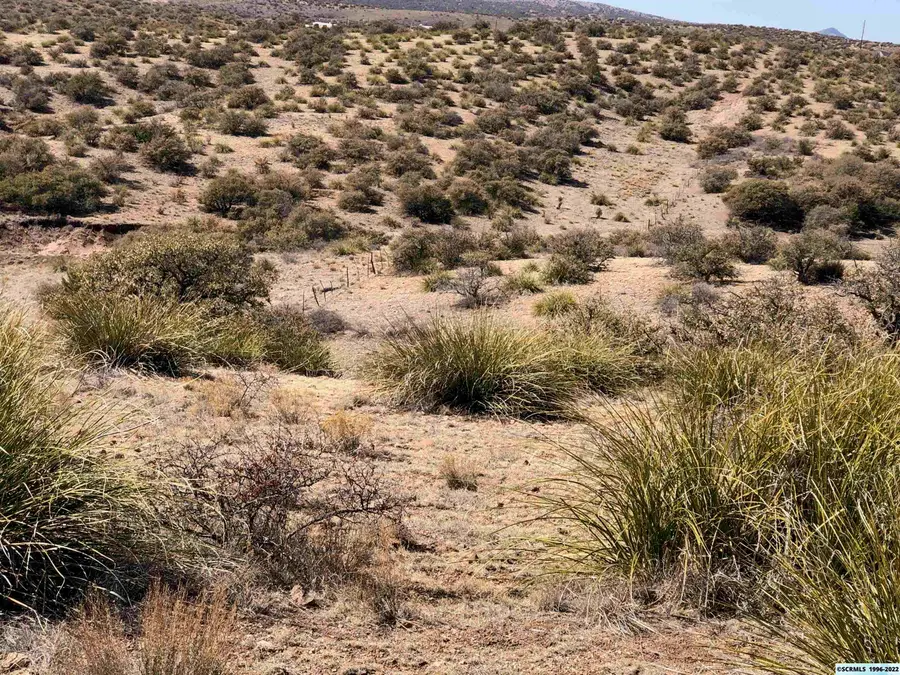 xx S Hwy 90, Silver City, NM 88061 - #3